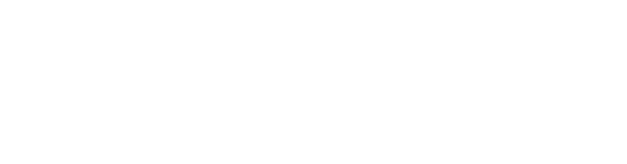 Fidel