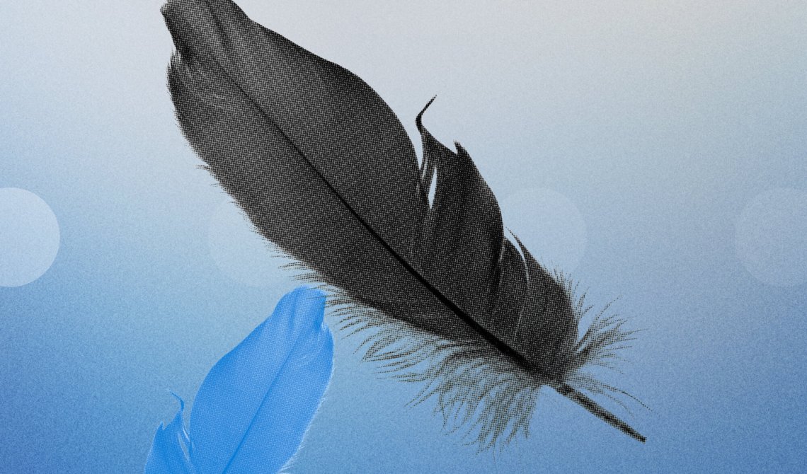 The Outsourced Tech Economist-How a black-swan bull upended the tech ecosystem (Part 1)