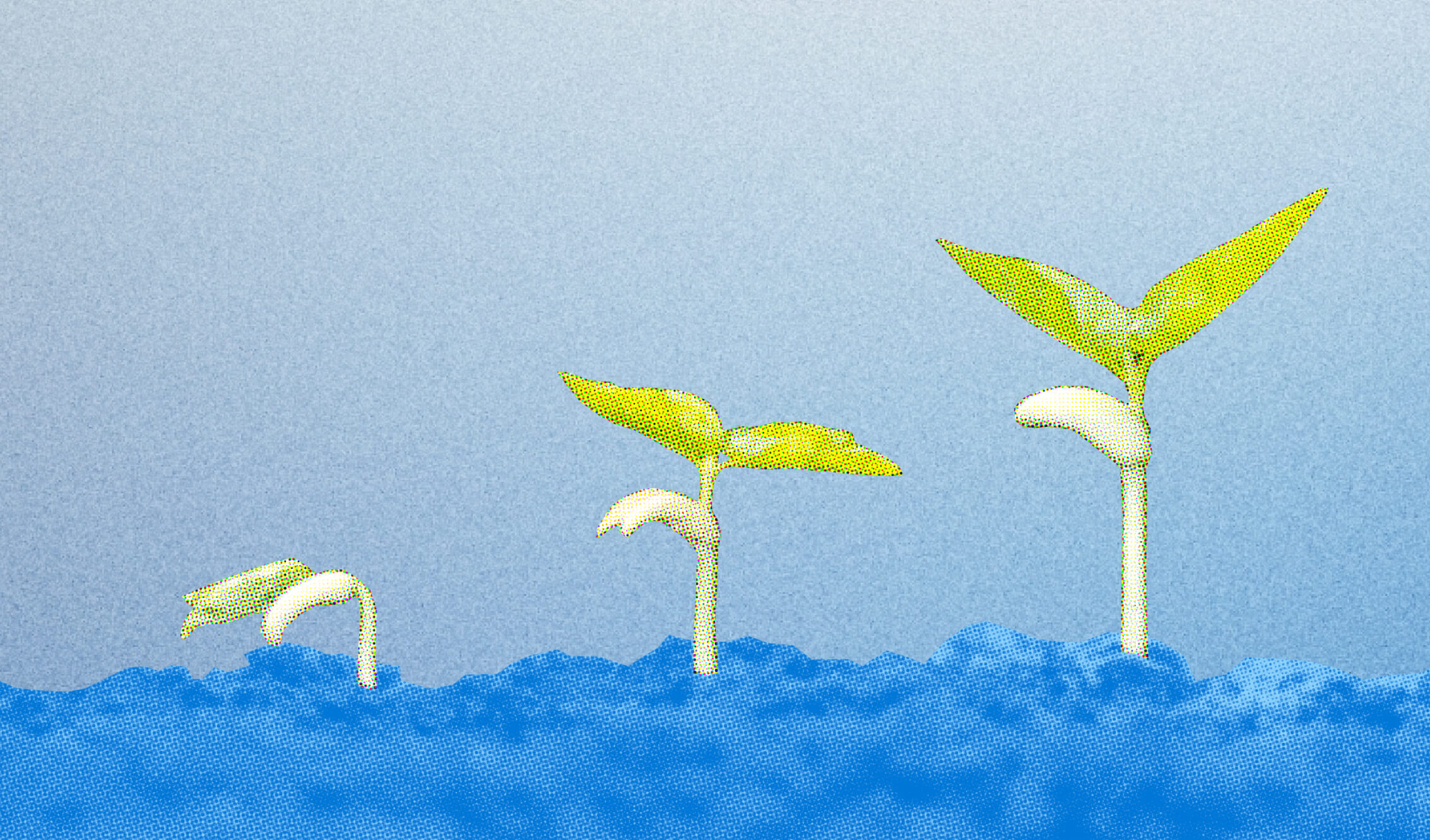 les-trois-phases-d-une-entreprise-en-d-marrage-rbcx